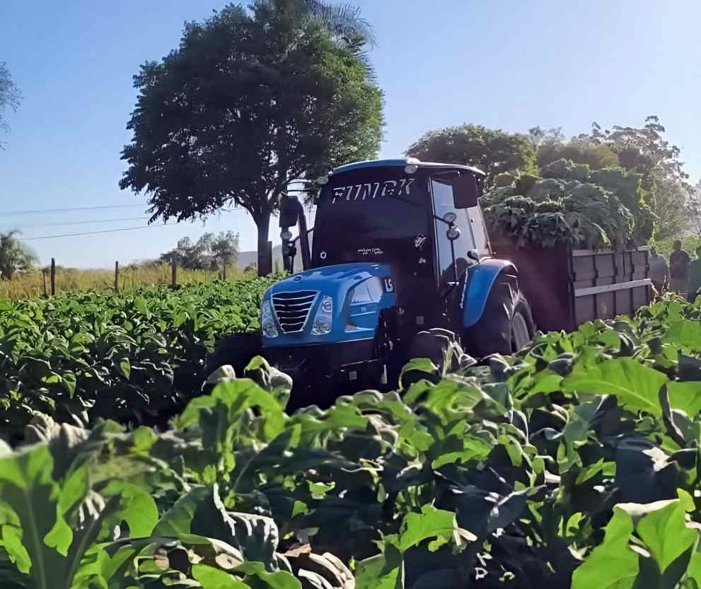 Cultivo de Tabaco ganha mais eficiência com tratores exclusivos e impulsiona a agricultura familiar no Sul do País