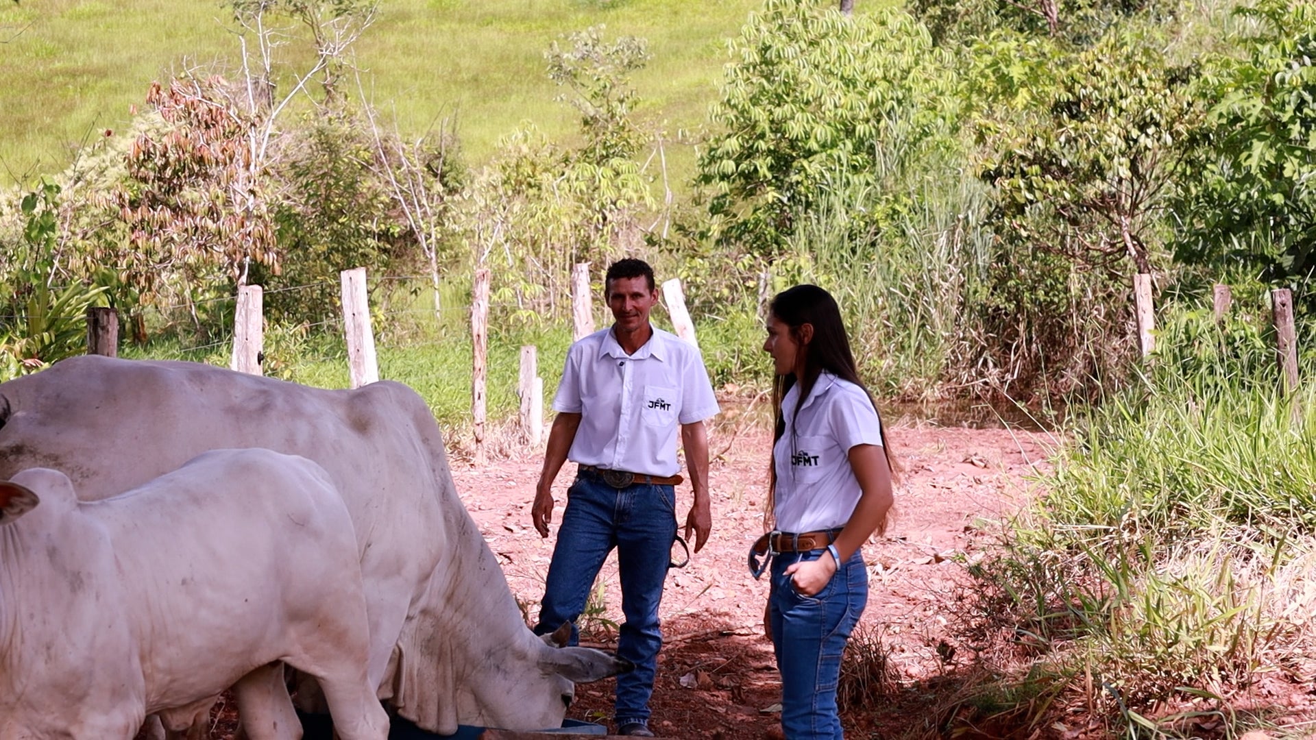 Assistência técnica do Senar MT transforma realidade de produtor rural em Juína