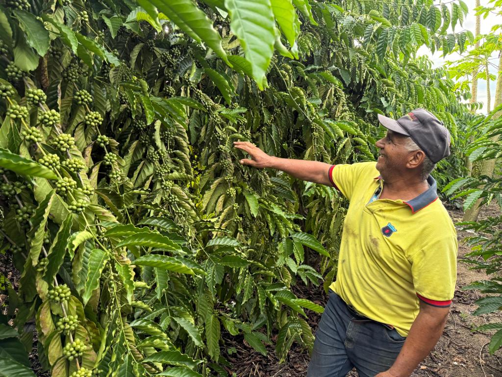 Café garante renda e recomeço para família de Castanheira
