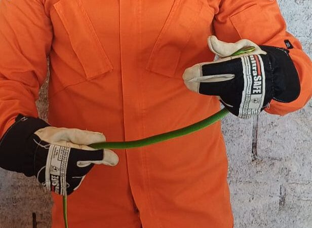 Bombeiros de Guarantã do Norte fizeram a captura de uma serpente em um canteiro de obras