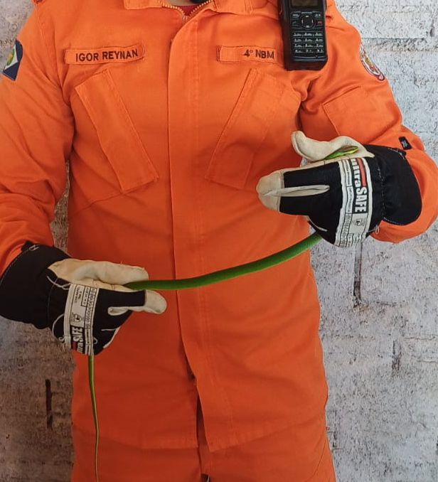 Bombeiros de Guarantã do Norte fizeram a captura de uma serpente em um canteiro de obras