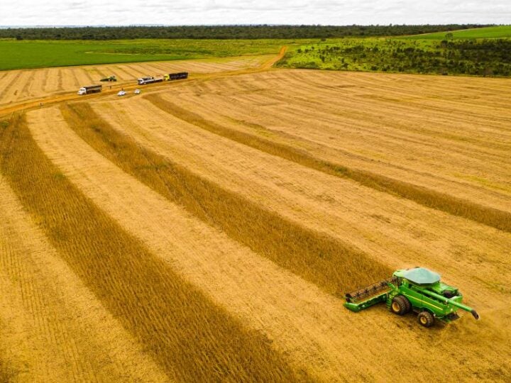 Mato Grosso consolida safra 25/26 com produção recorde e mantém liderança na soja há 26 safras