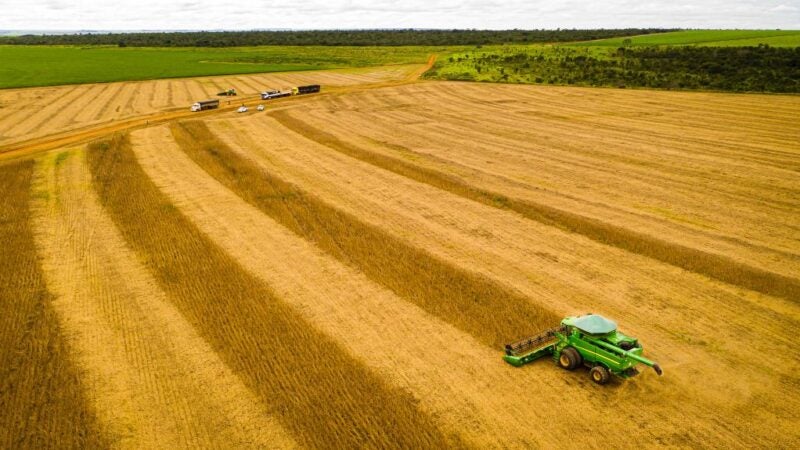 Mato Grosso consolida safra 25/26 com produção recorde e mantém liderança na soja há 26 safras