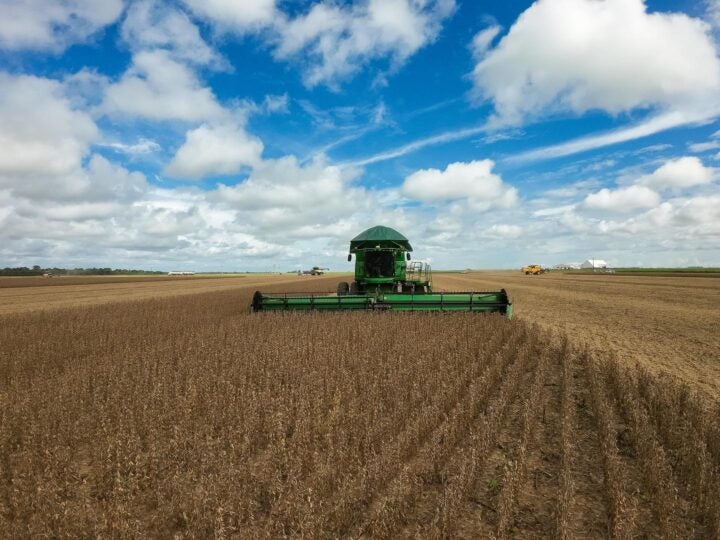 Agro impulsiona Mato Grosso à liderança da balança comercial brasileira no 1º quadrimestre
