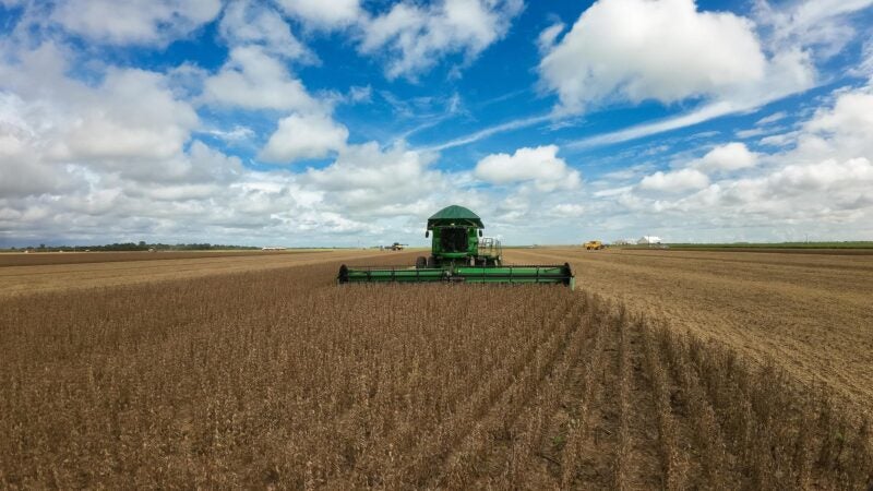 Agro impulsiona Mato Grosso à liderança da balança comercial brasileira no 1º quadrimestre