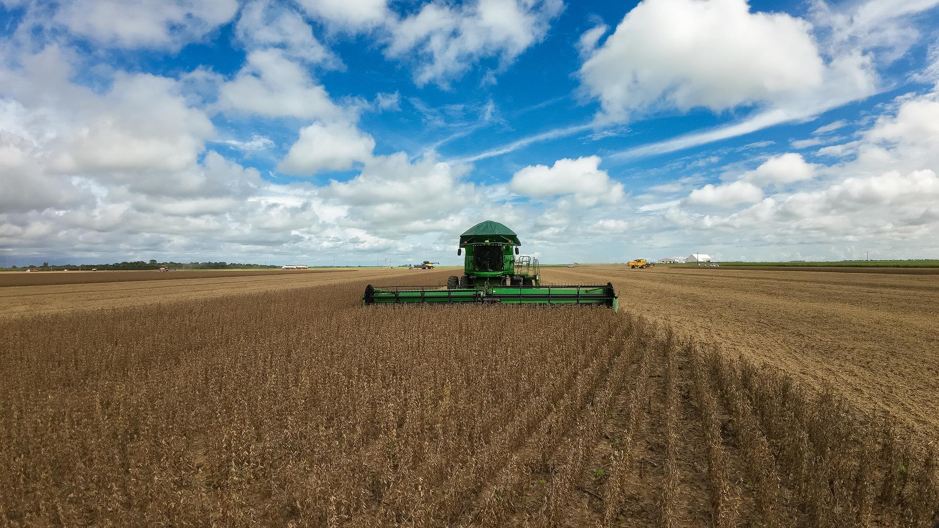 Agro impulsiona Mato Grosso à liderança da balança comercial brasileira no 1º quadrimestre