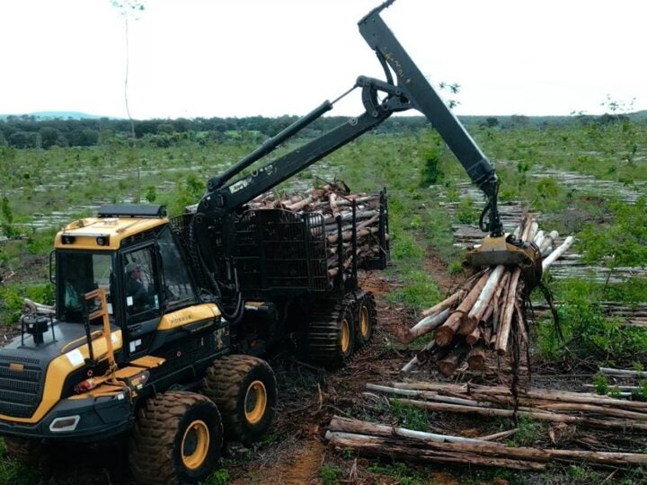 Chega ao mercado o primeiro pneu desenvolvido no Brasil exclusivo para colheita florestal