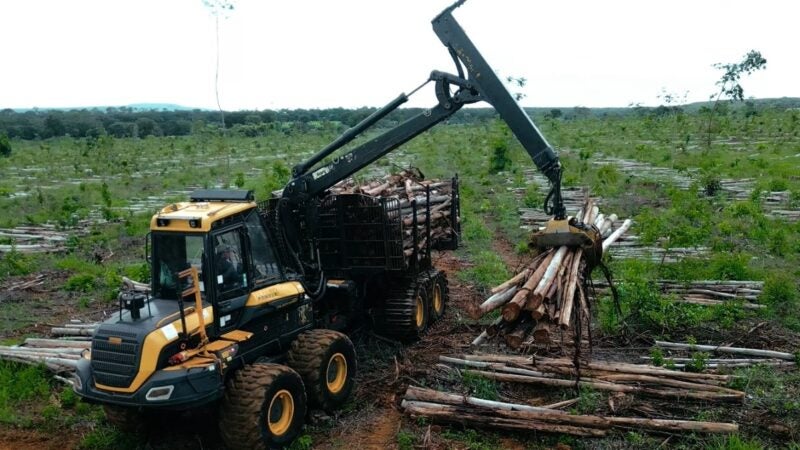 Chega ao mercado o primeiro pneu desenvolvido no Brasil exclusivo para colheita florestal