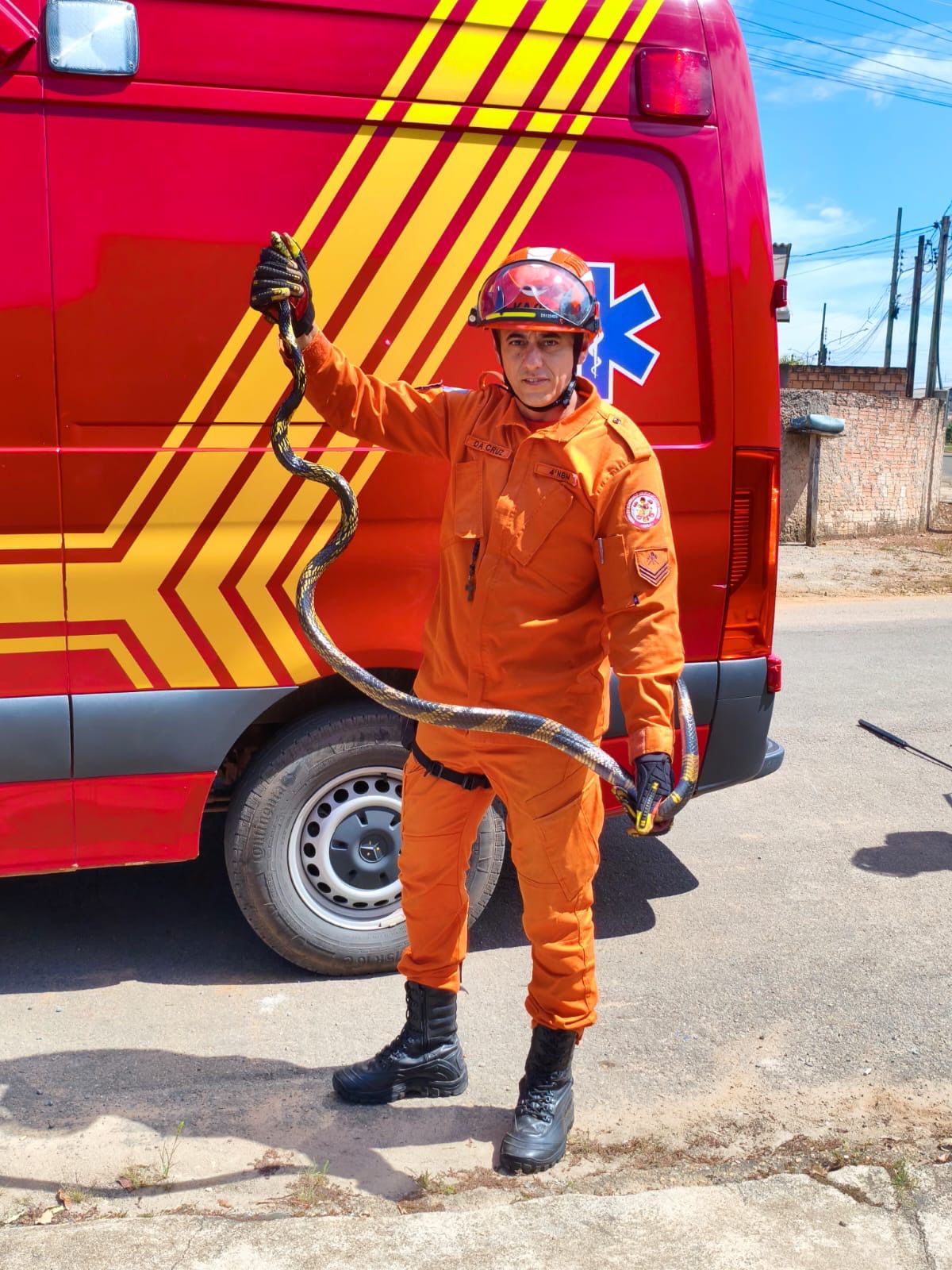 Bombeiro Militar de Matupá faz a captura de cobra em residência