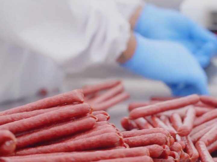 No Dia da União da Cadeira de Proteína Animal, Quick Stick aposta em proteína salgada para além das academias