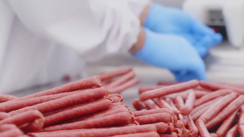 No Dia da União da Cadeira de Proteína Animal, Quick Stick aposta em proteína salgada para além das academias