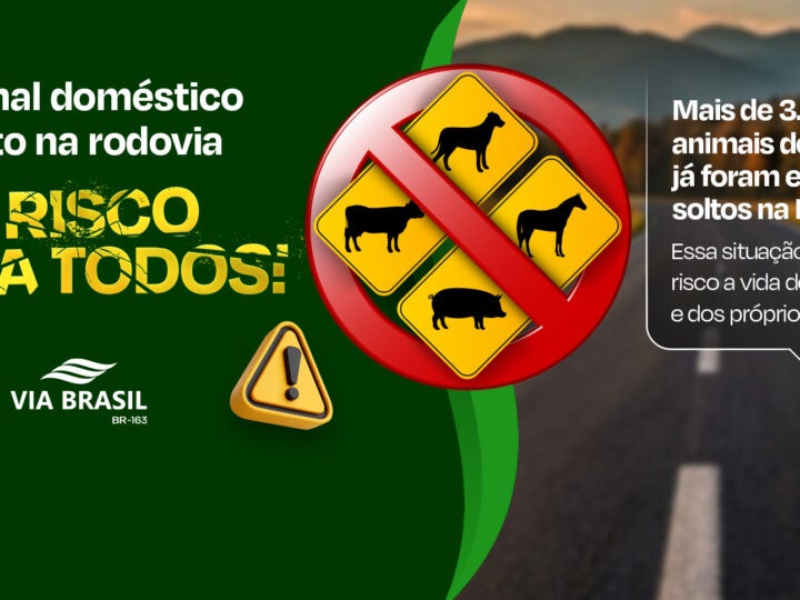 Via Brasil lança campanha de conscientização sobre riscos de animais soltos na BR-163