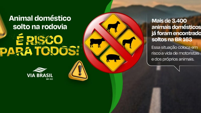 Via Brasil lança campanha de conscientização sobre riscos de animais soltos na BR-163