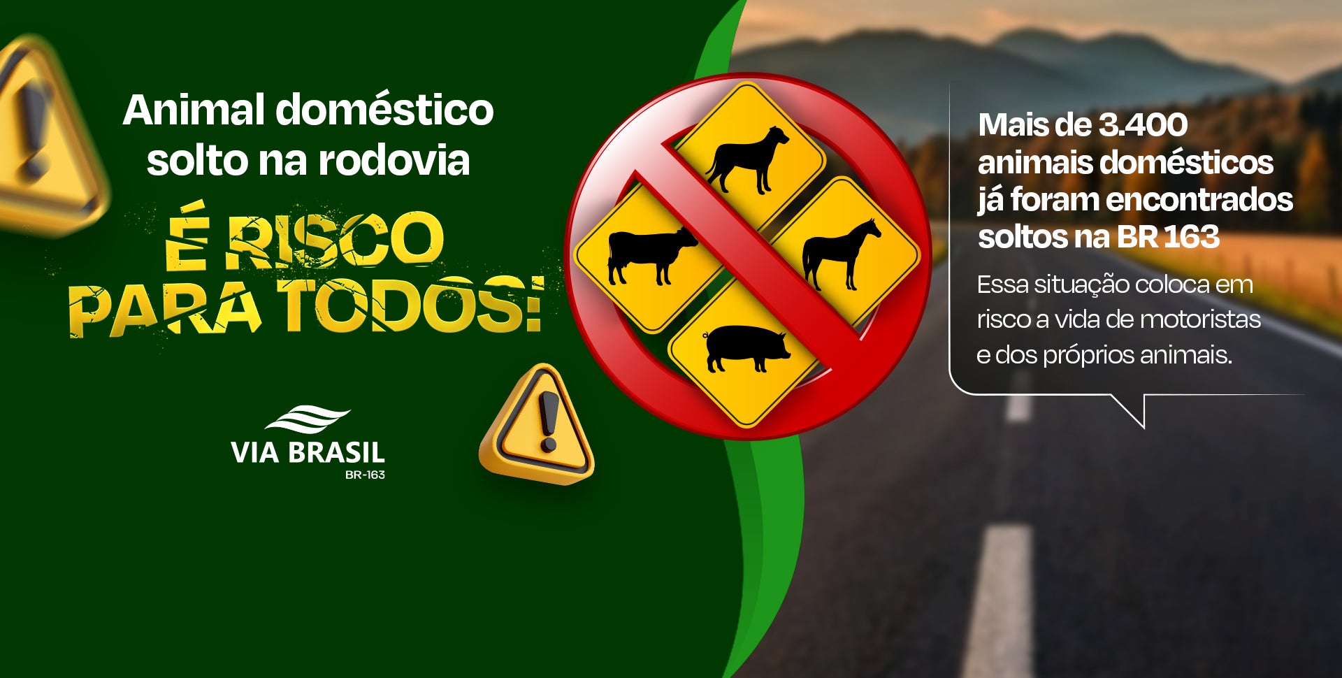Via Brasil lança campanha de conscientização sobre riscos de animais soltos na BR-163