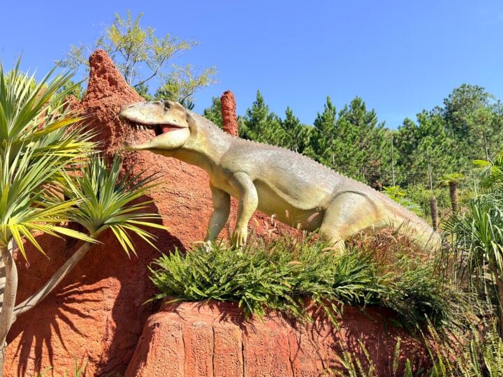Fósseis e até fezes petrificadas: como paleontólogos descobrem os hábitos dos dinossauros