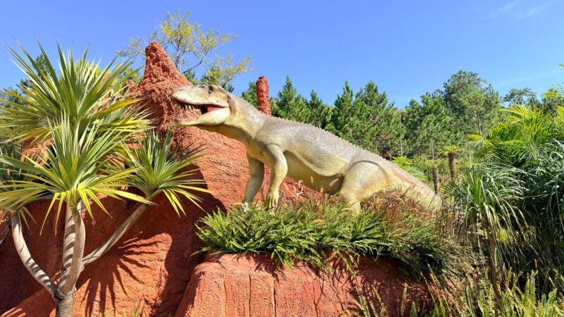 Fósseis e até fezes petrificadas: como paleontólogos descobrem os hábitos dos dinossauros