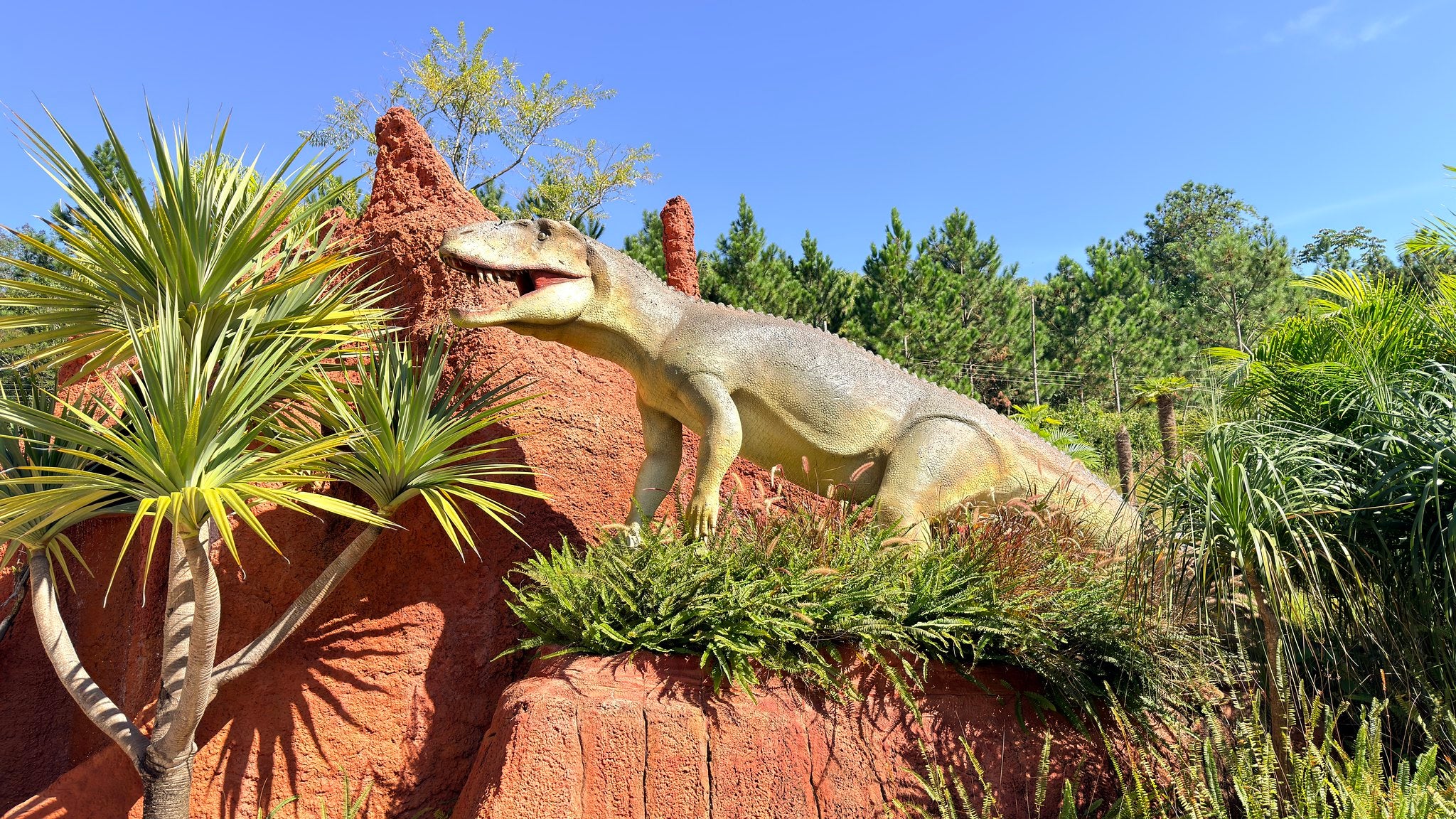Fósseis e até fezes petrificadas: como paleontólogos descobrem os hábitos dos dinossauros