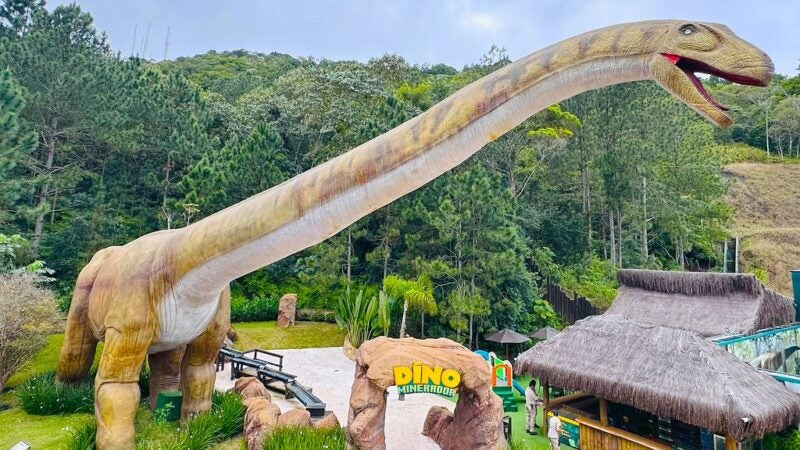 Balneário Camboriú amplia turismo de experiência e aposta em atrações para toda a família no feriado de Corpus Christi