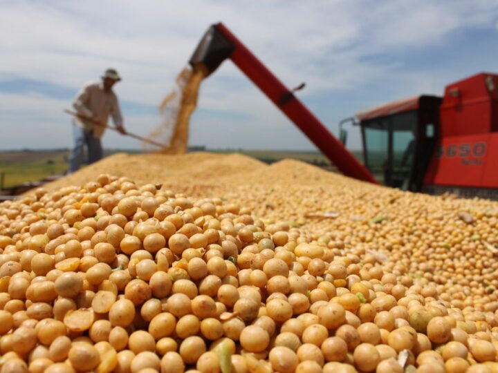 Soja terá custos maiores e cenário climático de incertezas na safra 26/27 em Mato Grosso