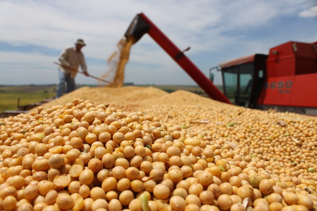 Soja terá custos maiores e cenário climático de incertezas na safra 26/27 em Mato Grosso