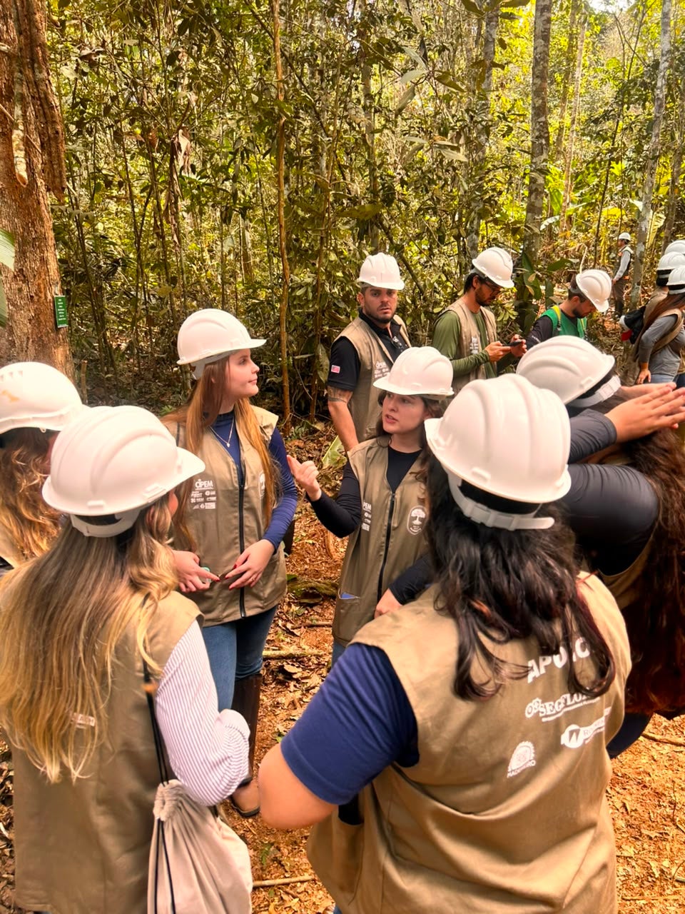 Quinze futuros engenheiros florestais conhecem o ciclo do manejo na 6º edição do Dia na Floresta
