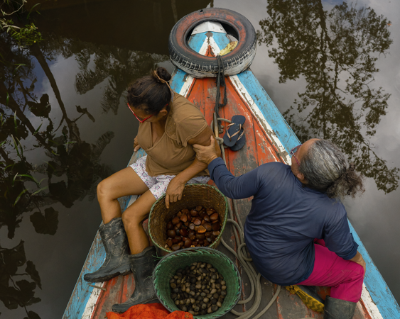 Natura lança startup de bioingredientes para conectar suas cadeias sustentáveis na Amazônia ao mercado global