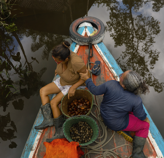 Natura lança startup de bioingredientes para conectar suas cadeias sustentáveis na Amazônia ao mercado global