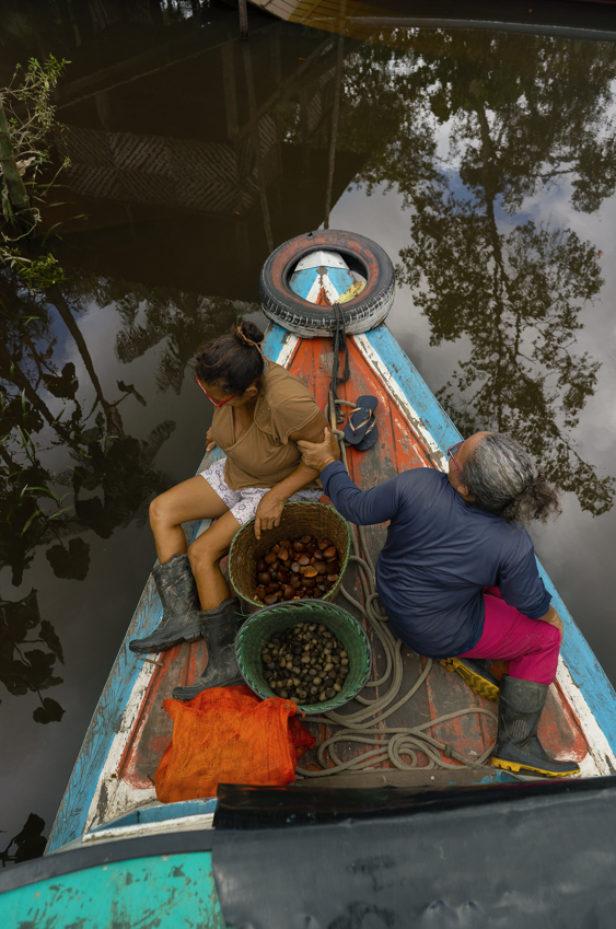 Natura lança startup de bioingredientes para conectar suas cadeias sustentáveis na Amazônia ao mercado global