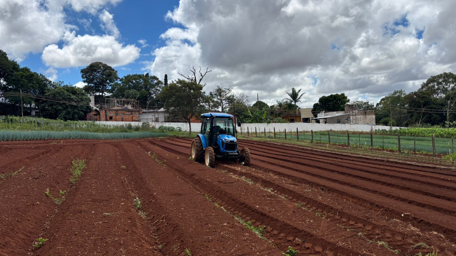 Tratores vocacionados impulsionam mecanização e rentabilidade na horticultura brasileira