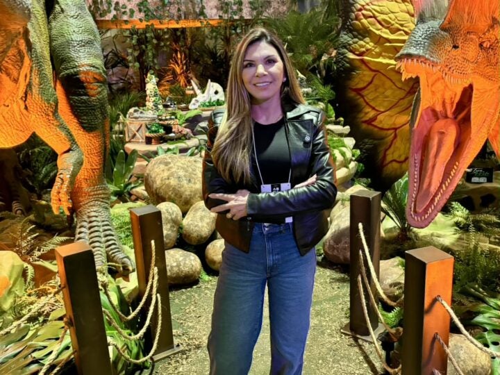 Da comida à recreação: todas as fases de uma festa infantil