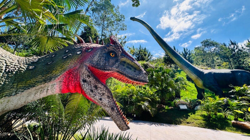 Férias entre gigantes: o que fazer no maior parque temático de dinossauros do Brasil