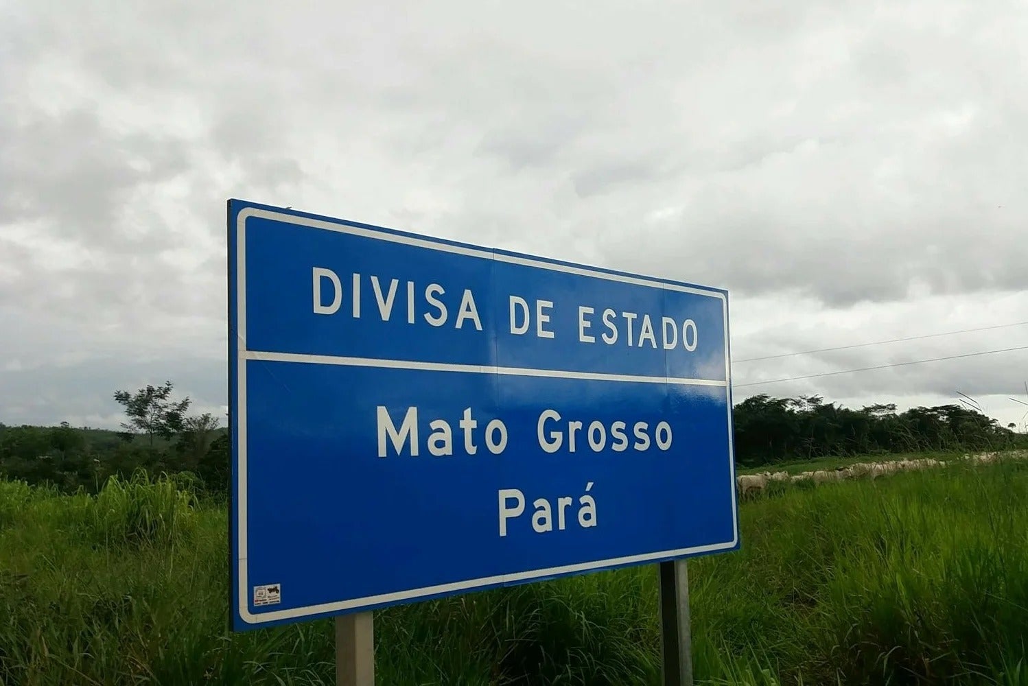 MT pede prazo para apresentar proposta de acordo com o Pará