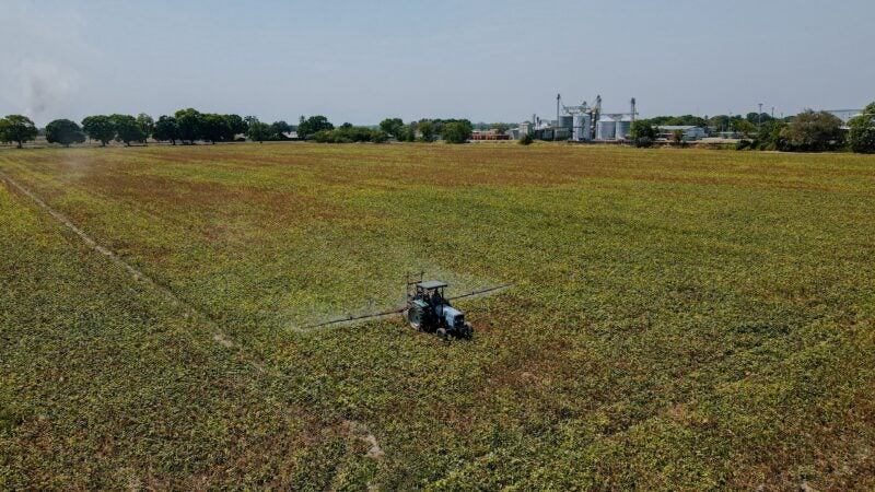 Brasil é o mercado mais atrativo de pesticidas do mundo