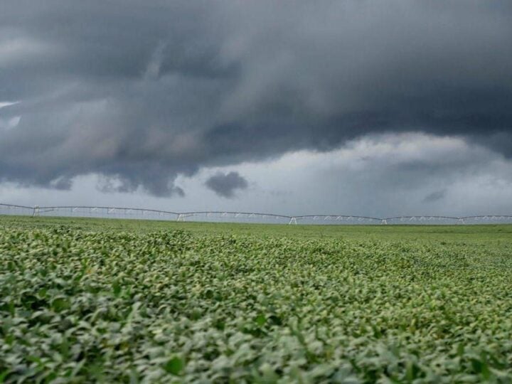 El Niño coloca safra 2026/27 de Mato Grosso em alerta e exige estratégia