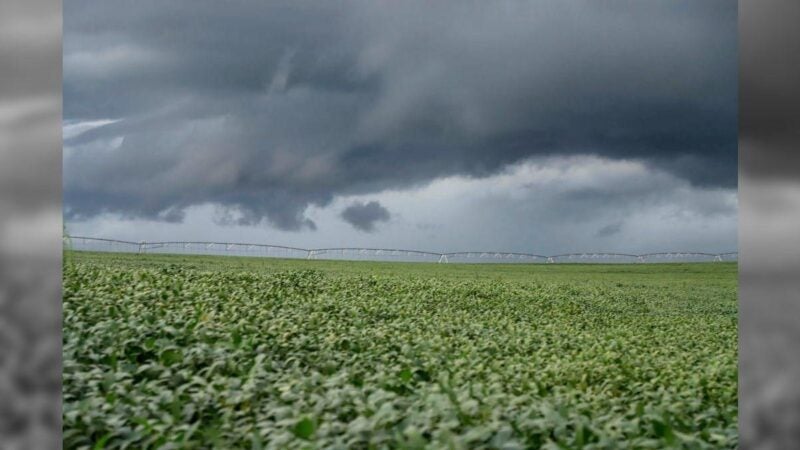 El Niño coloca safra 2026/27 de Mato Grosso em alerta e exige estratégia