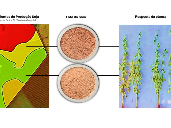 Tecnologia que “lê” o solo transforma manejo agrícola e comprova ganhos de produtividade