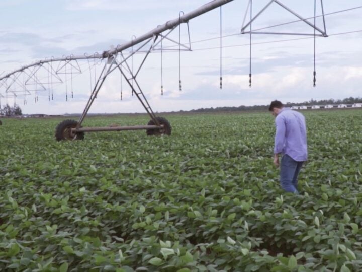 Da água ao adubo, Nutribras transforma resíduos em novos recursos