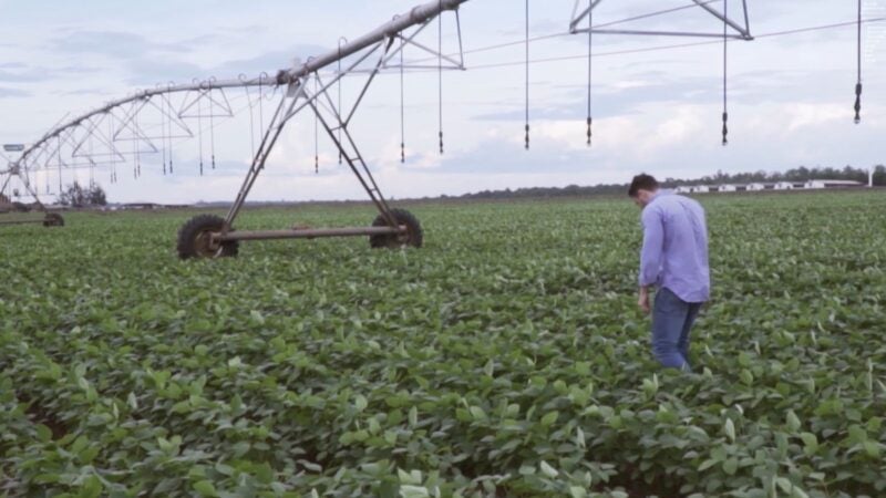 Da água ao adubo, Nutribras transforma resíduos em novos recursos