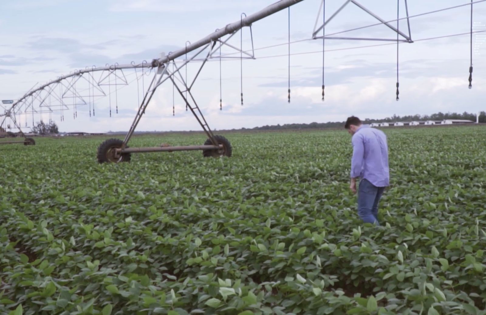 Da água ao adubo, Nutribras transforma resíduos em novos recursos