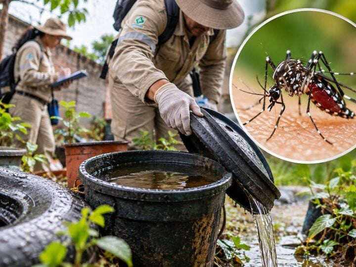 Casos de dengue caem 62,5% em MT, mas chuvas reforçam alerta