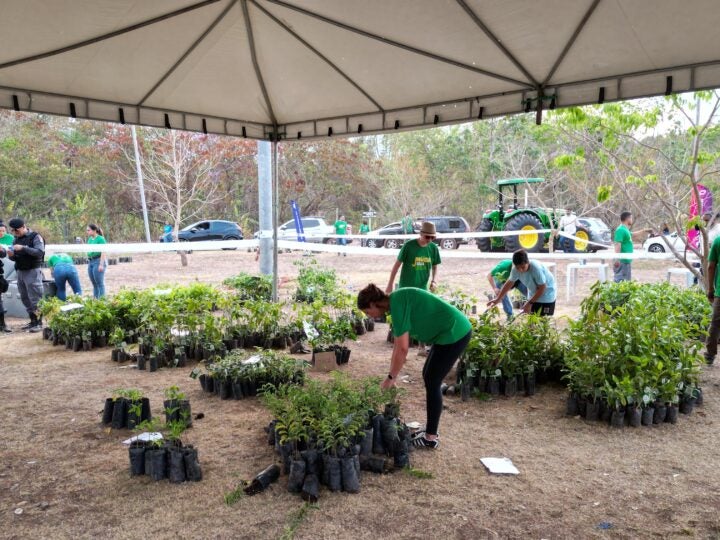 Projeto ambiental distribuirá 6 mil mudas gratuitamente em Rondonópolis