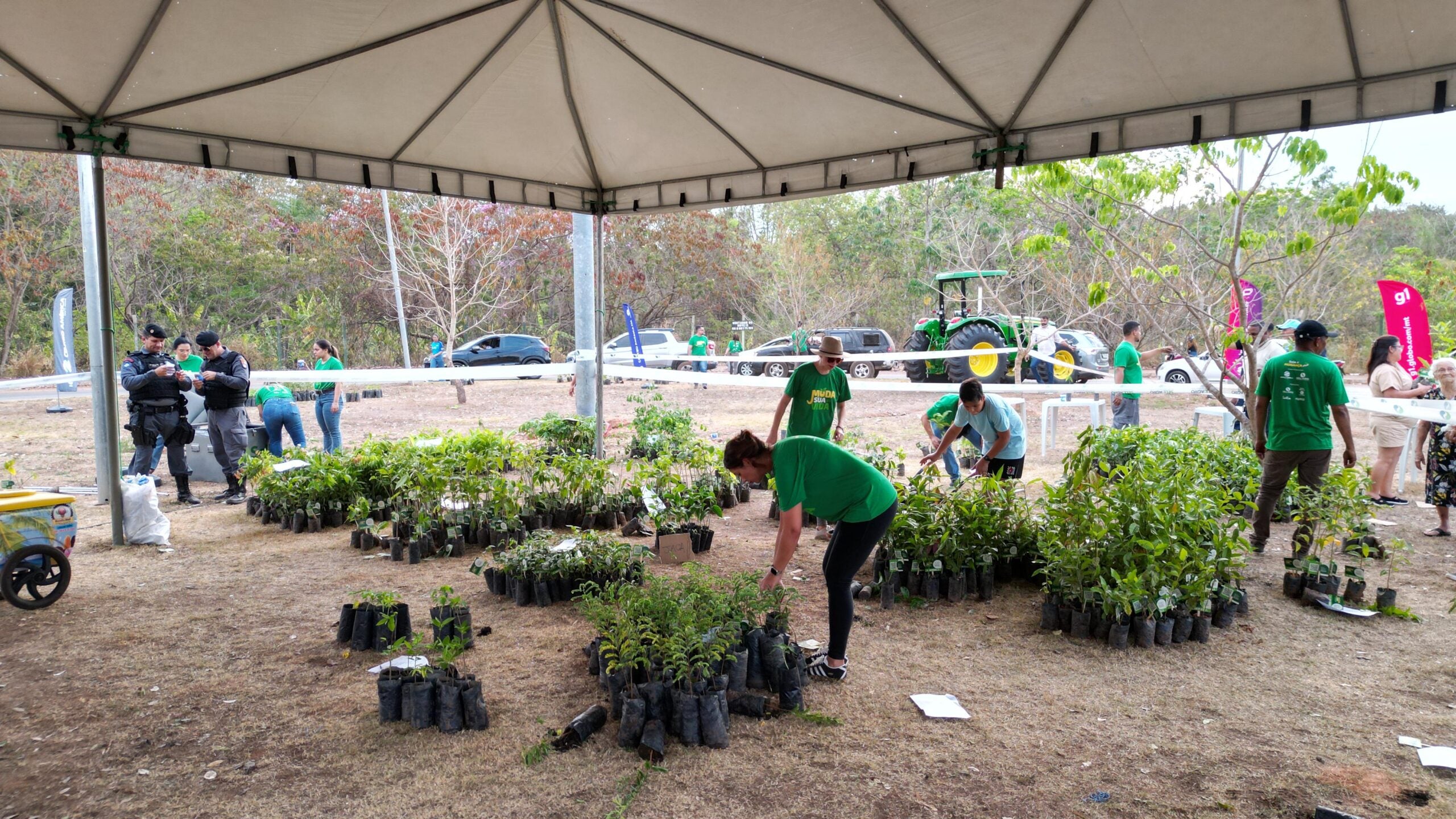 Projeto ambiental distribuirá 6 mil mudas gratuitamente em Rondonópolis