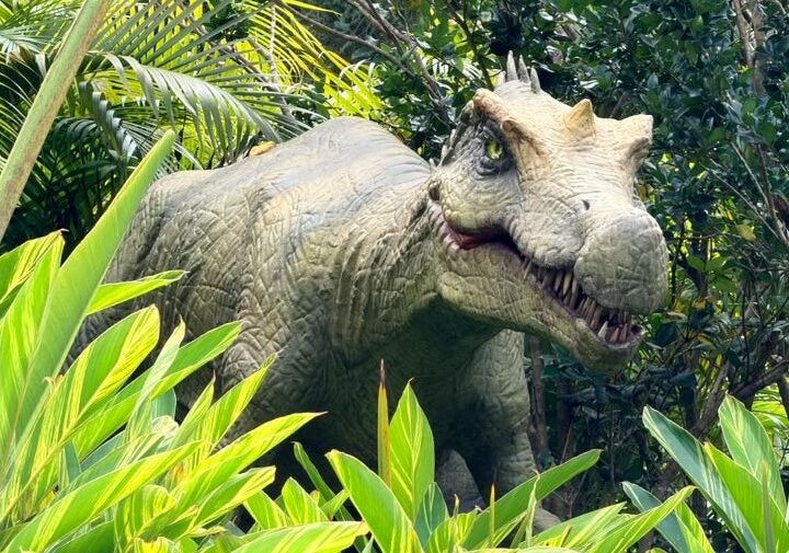 Fóssil de dinossauro que será devolvido ao Brasil tem réplica em parque de SC