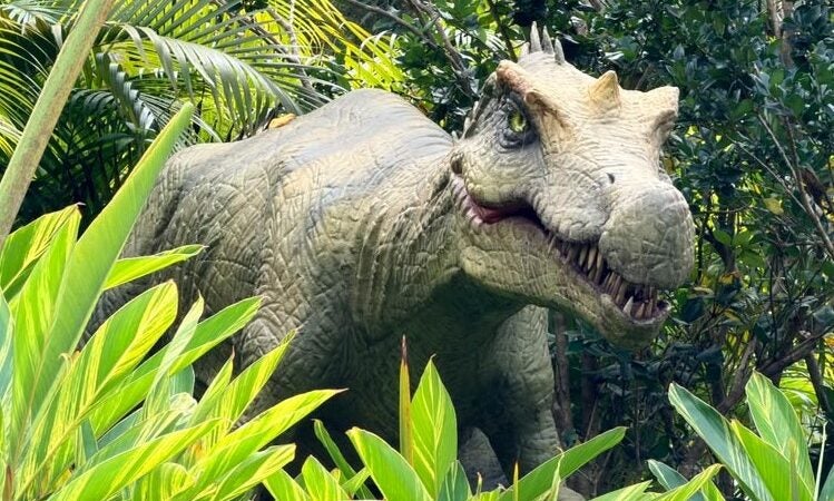 Fóssil de dinossauro que será devolvido ao Brasil tem réplica em parque de SC