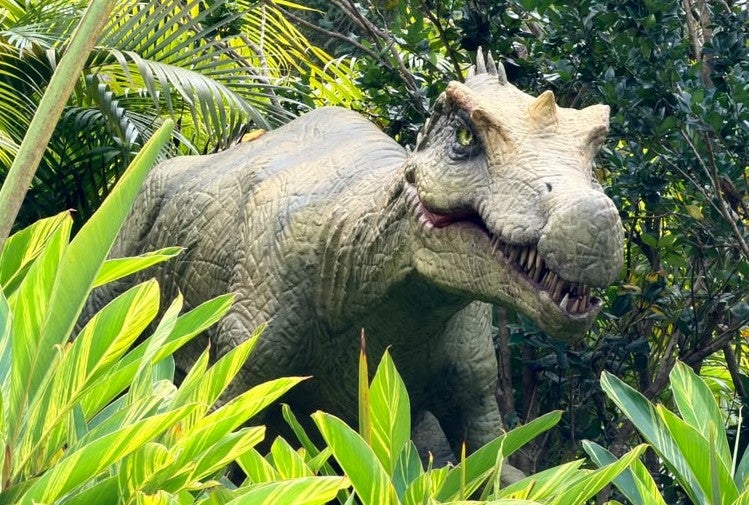 Fóssil de dinossauro que será devolvido ao Brasil tem réplica em parque de SC