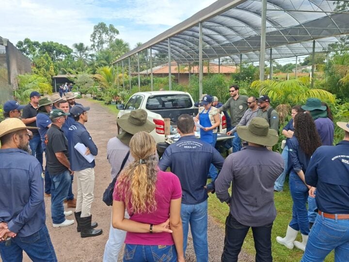 Reunião regionalizada em Água Boa atualiza servidores sobre ações de defesa sanitária vegetal