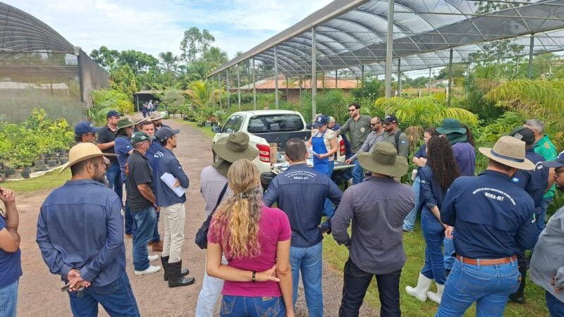 Reunião regionalizada em Água Boa atualiza servidores sobre ações de defesa sanitária vegetal