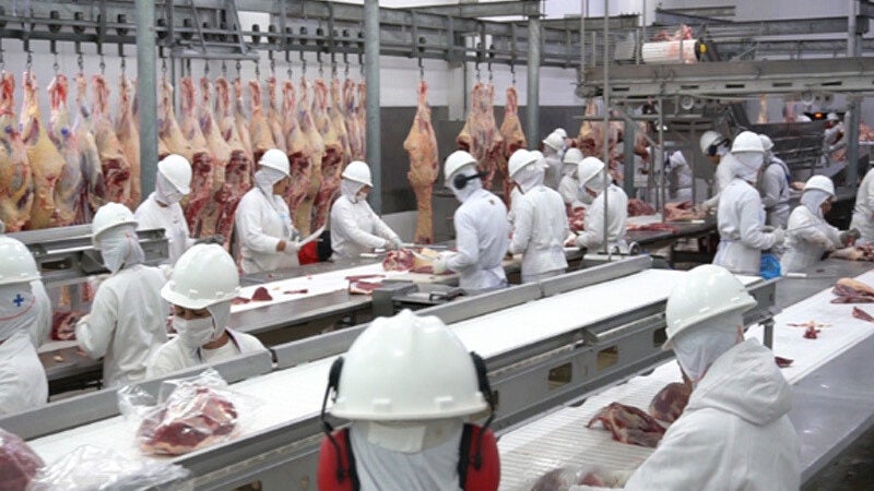 Frigoríficos de MT aumentam exportações para Espanha em 172%