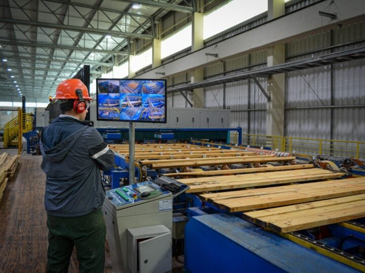 Startup quer transformar eficiência de dados em nova matéria-prima para as serrarias