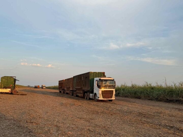 Pneus superam 12 mil horas de trabalho em operação canavieira